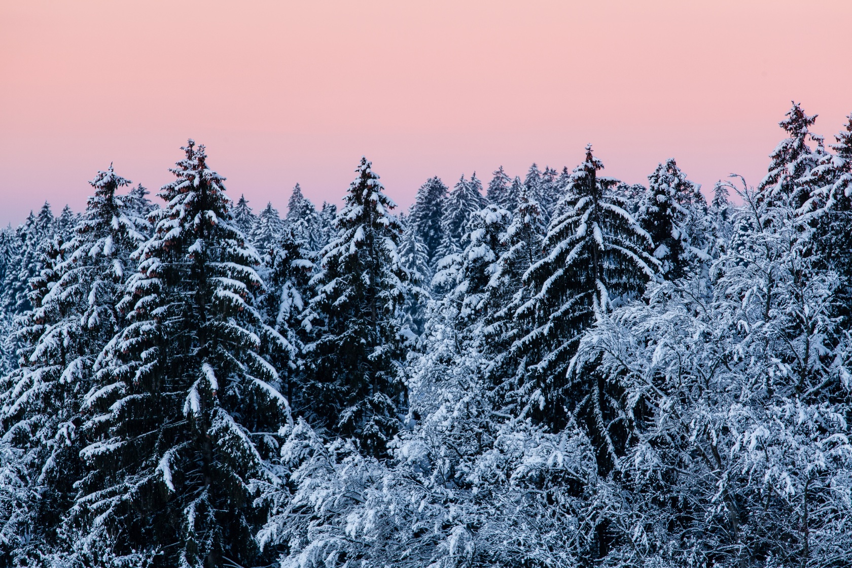 Glastr&auml;gerwald I